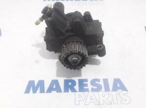 Fuel Pump RENAULT MEGANE III Grandtour (KZ0/1)