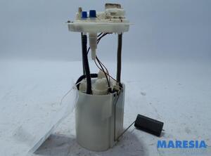 Fuel Pump FIAT Doblo Cargo (263), FIAT Doblo Großraumlimousine (263)