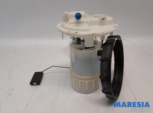 Fuel Pump CITROËN C3 II (SC_)