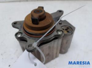 
Kraftstoffpumpe Citroen C4 II Grand Picasso  1920LL P21454299
