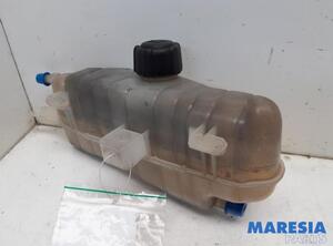 Coolant Expansion Tank RENAULT CLIO III (BR0/1, CR0/1)