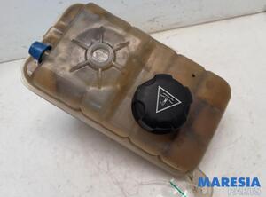 Coolant Expansion Tank CITROËN DS3