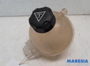 Coolant Expansion Tank PEUGEOT 3008 MPV (0U_)