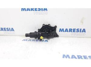 Thermostat Housing RENAULT Clio III (BR0/1, CR0/1)