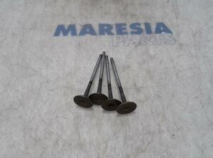 Exhaust Valve FIAT Panda (312, 319), FIAT Panda Van (312, 519)