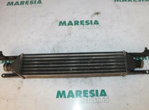 Intercooler FIAT Grande Punto (199), FIAT Punto (199), FIAT Punto Evo (199)