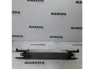 Intercooler FIAT Grande Punto (199), FIAT Punto (199), FIAT Punto Evo (199)