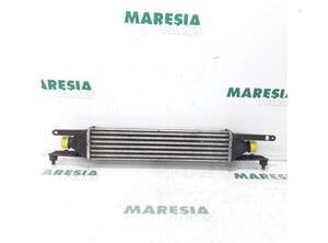 Intercooler FIAT Grande Punto (199), FIAT Punto (199), FIAT Punto Evo (199)