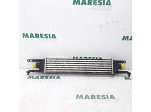 Intercooler FIAT Grande Punto (199), FIAT Punto (199), FIAT Punto Evo (199)