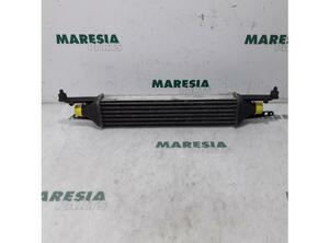 Interkoeler tussenkoeler FIAT Grande Punto (199), FIAT Punto (199), FIAT Punto Evo (199)