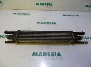 Intercooler FIAT Grande Punto (199), FIAT Punto Evo (199)