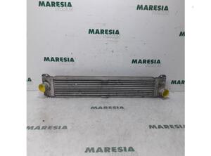 Intercooler FIAT Ducato Kasten (250, 290)