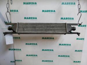 Intercooler FIAT Grande Punto (199), FIAT Punto Evo (199)