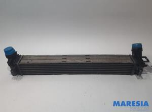 Intercooler RENAULT MEGANE III Grandtour (KZ0/1)