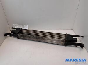 Interkoeler tussenkoeler FIAT Grande Punto (199), FIAT Punto (199), FIAT Punto Evo (199)