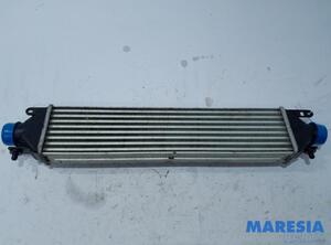 Intercooler FIAT DOBLO Cargo (263_), FIAT DOBLO MPV (263_)