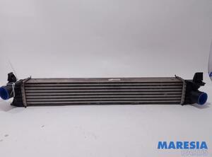 Intercooler CITROËN JUMPER Van, PEUGEOT BOXER Van, FIAT DUCATO Van (250_, 290_), FIAT DUCATO Bus (250_, 290_)