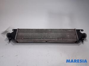 Intercooler FIAT Doblo Cargo (263)