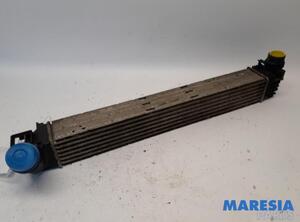 Intercooler RENAULT Scénic III (JZ0/1), RENAULT Grand Scénic III (JZ0/1)