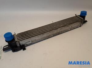 Intercooler FIAT Fiorino Kasten/Großraumlimousine (225)