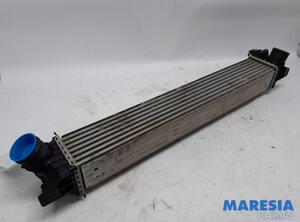 Intercooler FIAT Ducato Kasten (250, 290), FIAT Ducato Bus (250, 290), PEUGEOT Boxer Kasten (--)