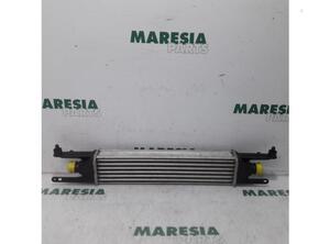 Intercooler FIAT GRANDE PUNTO (199_), FIAT PUNTO (199_), FIAT PUNTO EVO (199_)