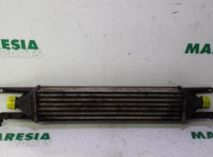 Intercooler FIAT GRANDE PUNTO (199_), FIAT PUNTO (199_), FIAT PUNTO EVO (199_)