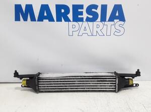 Intercooler FIAT GRANDE PUNTO (199_), FIAT PUNTO (199_), FIAT PUNTO EVO (199_)