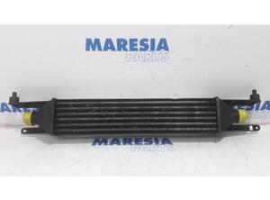 Intercooler FIAT GRANDE PUNTO (199_), FIAT PUNTO (199_), FIAT PUNTO EVO (199_)