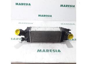 Intercooler CITROËN C5 III Break (RW_), PEUGEOT 407 Coupe (6C_), CITROËN C5 III (RD_)