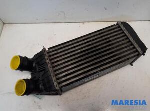 Intercooler CITROËN C3 II (SC_), CITROËN DS3