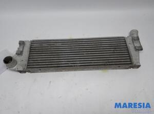 Intercooler RENAULT MEGANE II (BM0/1_, CM0/1_)