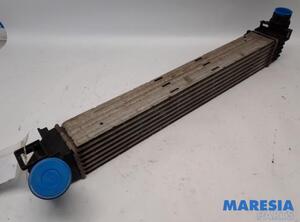 Intercooler RENAULT MEGANE III Coupe (DZ0/1_)