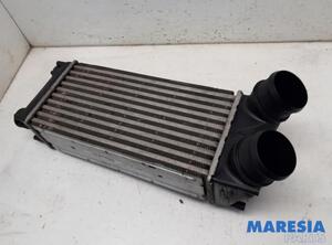 Intercooler PEUGEOT 308 I (4A_, 4C_), PEUGEOT 3008 MPV (0U_), PEUGEOT 5008 (0U_, 0E_), PEUGEOT 308 CC (4B_)