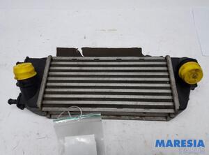 Interkoeler tussenkoeler FIAT 500 (312_), FIAT 500 C (312_), FIAT PANDA (312_, 319_), FIAT PANDA VAN (312_, 519_)