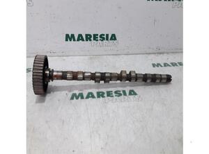 Camshaft RENAULT Safrane II (B54)