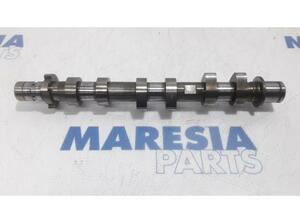 Camshaft RENAULT Captur I (H5, J5), RENAULT Clio IV (BH)