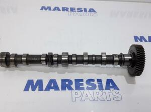 Camshaft FIAT Grande Punto (199), FIAT Punto (199), FIAT Punto Evo (199)