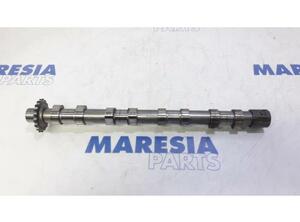 Camshaft PEUGEOT EXPERT Van (VF3A_, VF3U_, VF3X_)