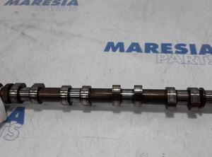 Camshaft PEUGEOT 5008 (0E, 0U)