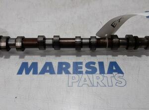 Camshaft PEUGEOT 207 (WA, WC)