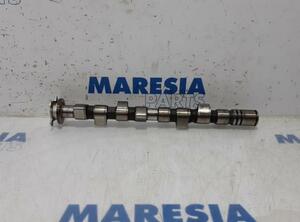 Camshaft FIAT Grande Punto (199), FIAT Punto Evo (199), FIAT Punto (199)