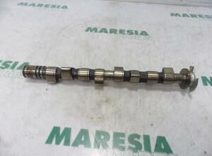 Camshaft FIAT Grande Punto (199), FIAT Punto Evo (199), FIAT Punto (199)