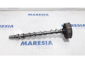 Camshaft RENAULT Modus/Grand Modus (F/JP0)