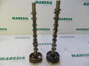 Camshaft RENAULT Clio III (BR0/1, CR0/1)