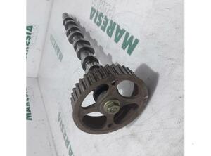 Camshaft RENAULT Clio III (BR0/1, CR0/1), RENAULT Clio II (BB, CB)