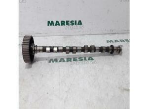 Camshaft RENAULT Safrane II (B54)