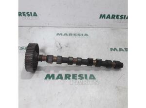 Camshaft LANCIA Lybra (839AX)