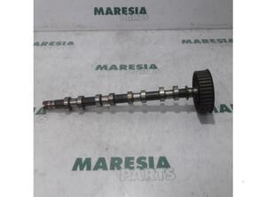 Camshaft RENAULT Espace IV (JK0/1)