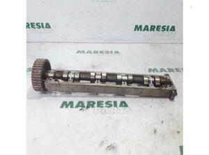 Camshaft CITROËN C5 I (DC), CITROËN C5 II (RC)